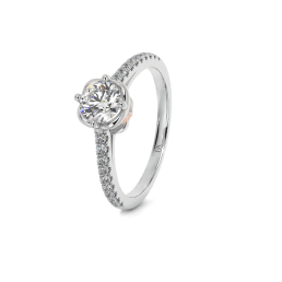 Solitaires